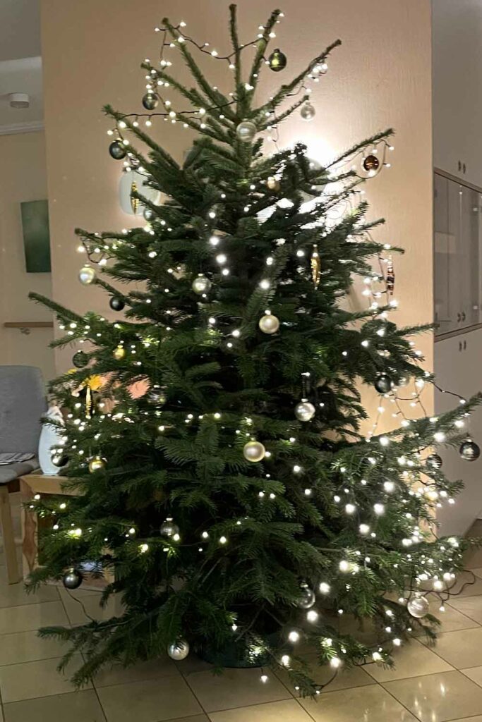 Hospiz-Trier-Weihnachtsbaum-2024